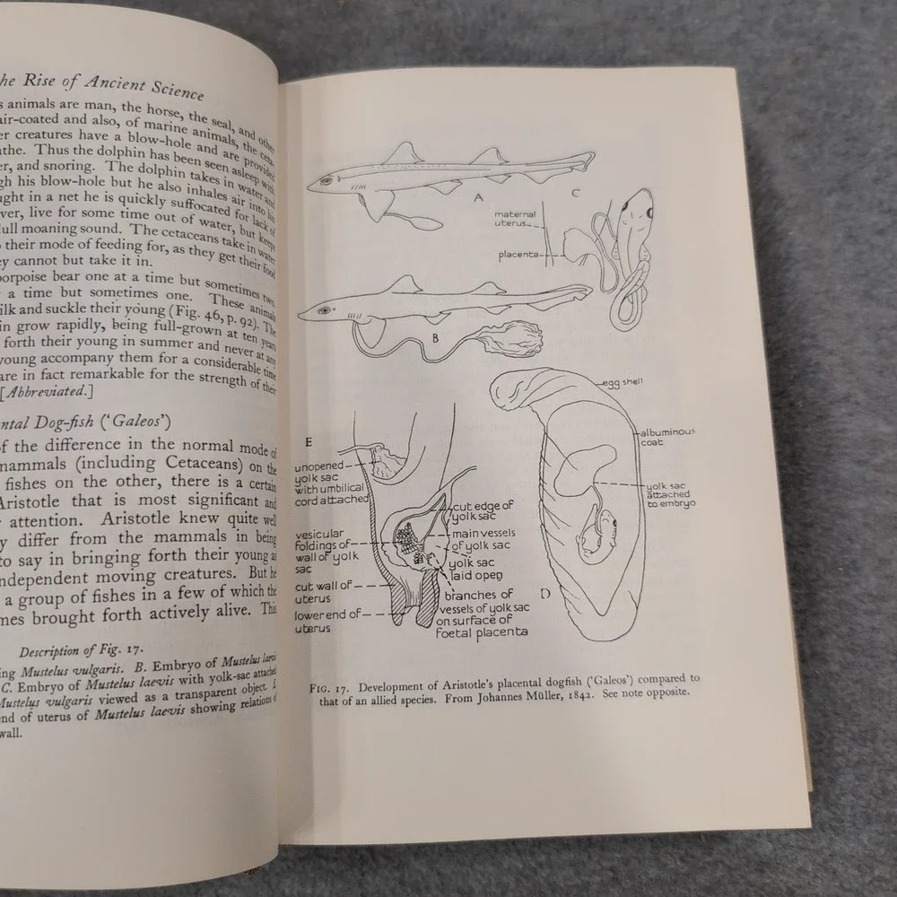 A History of Biology Charles Singer 1962 Revised Edition Hardcover Dust Jacket - Picture 9 of 10